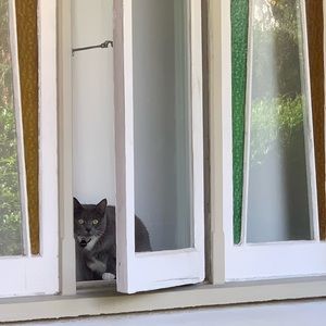 Meet your Posher, Chanel